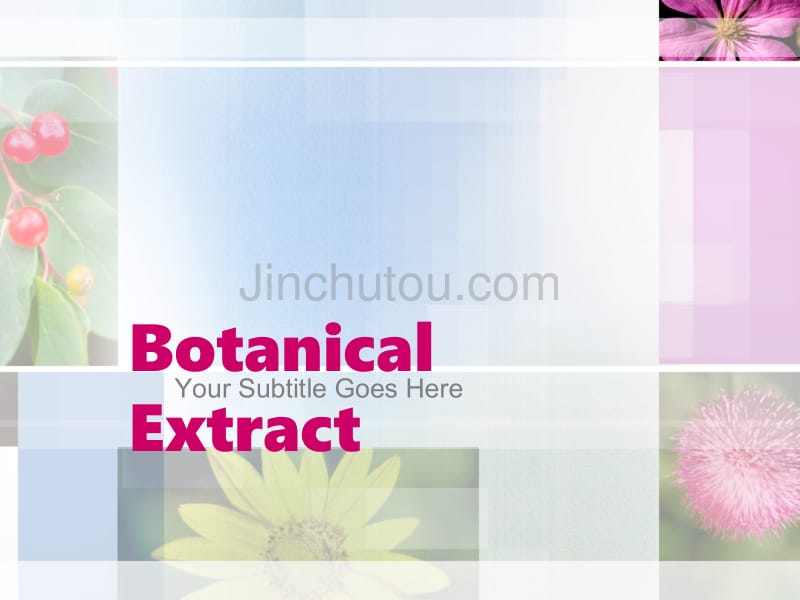 经典ppt模板（自然）botanical_extract_第1页