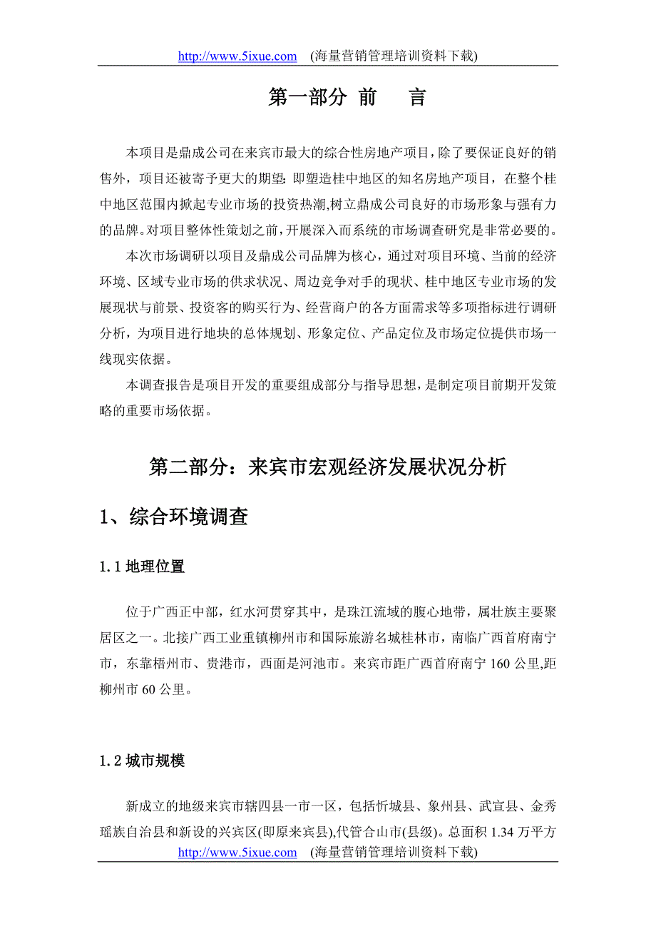 广西“中商贸城”前期策划报告_第2页