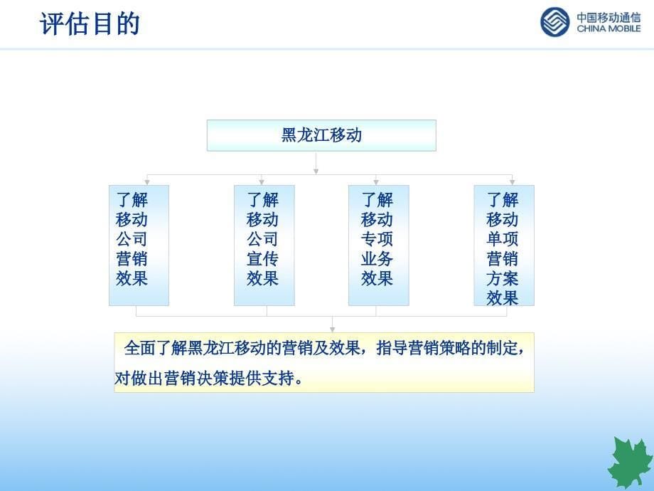 媒体监测（中国移动）黑龙江移动营销评估及媒体监测方案_第5页