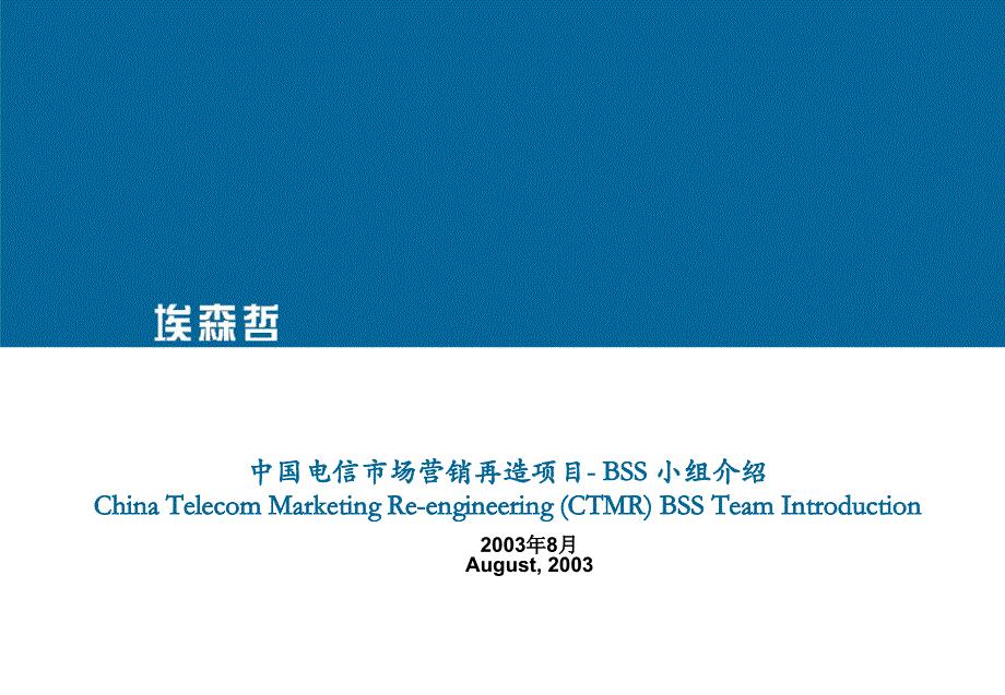 新年宣传－埃森哲：中国电信市场营销再造项目