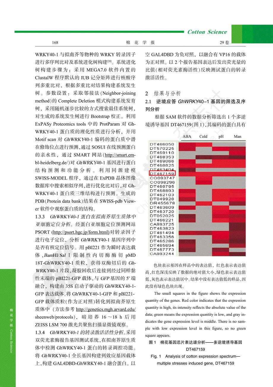 陆地棉基因GhWRKY40-1的克隆及表达分析_第3页