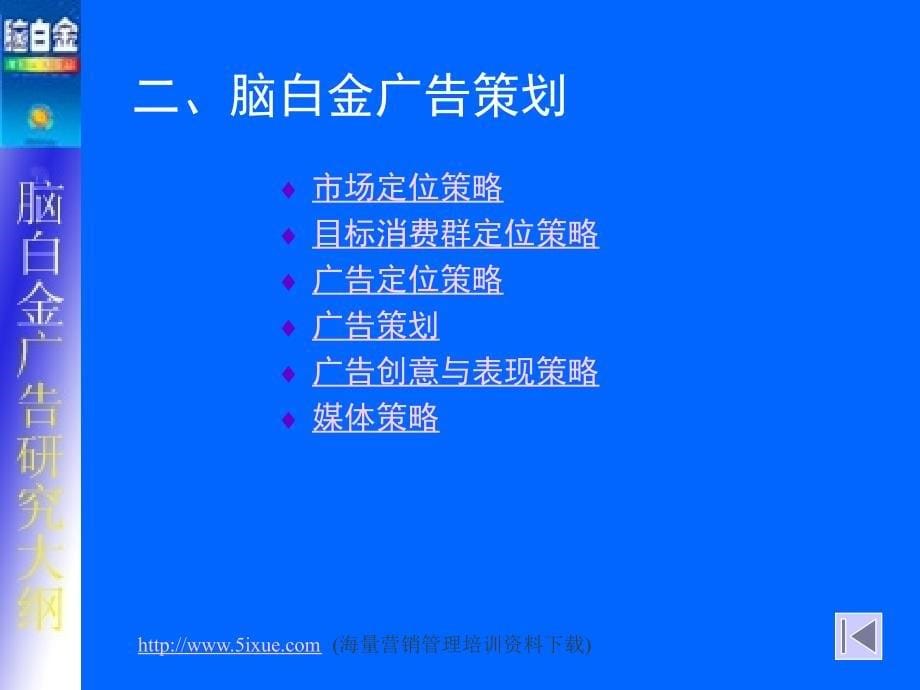 脑白金广告研究  PPT_第5页