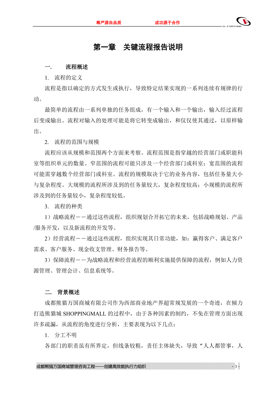 成都熊猫万国商城有限公司关键流程报告_第4页