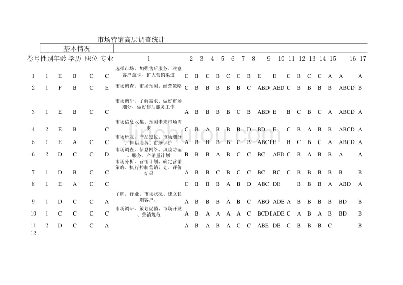 山东恒联纸业－市场营销高层调查统计明细_第1页