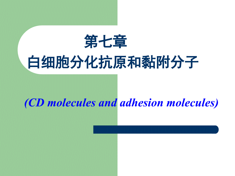 医学免疫学之白细胞分化抗原和黏附分子教学讲义-青海大学医学院_第2页