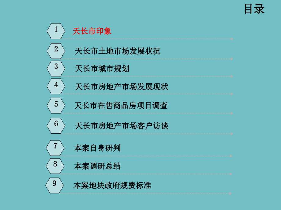 2012年10月安徽天长市广陵路项目调研报告[规划建议]_第2页