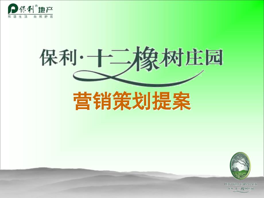 武汉市12橡树庄园营销策划提案保利2006年_第1页