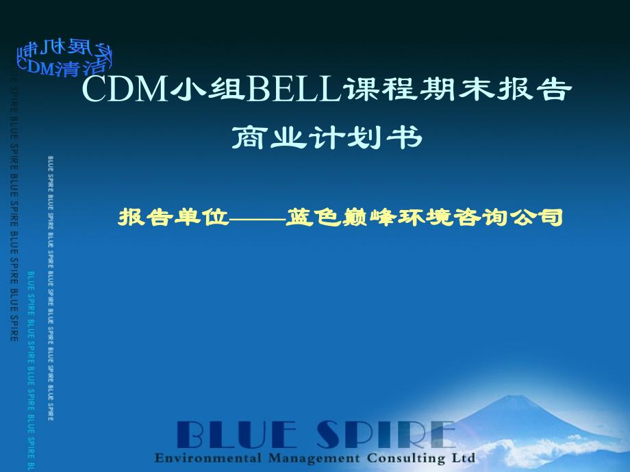 CDM小组BELL课程期末报告商业计划书-蓝色巅峰环境咨询_第1页