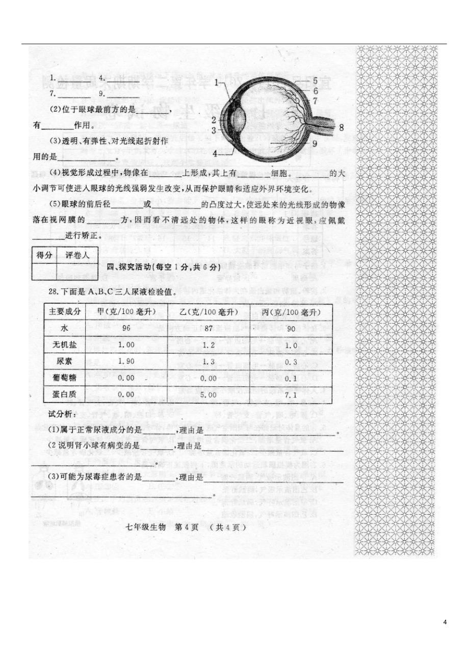 洛阳市宜阳县2014-2015学年七年级生物下学期期末质量检测试题_第4页