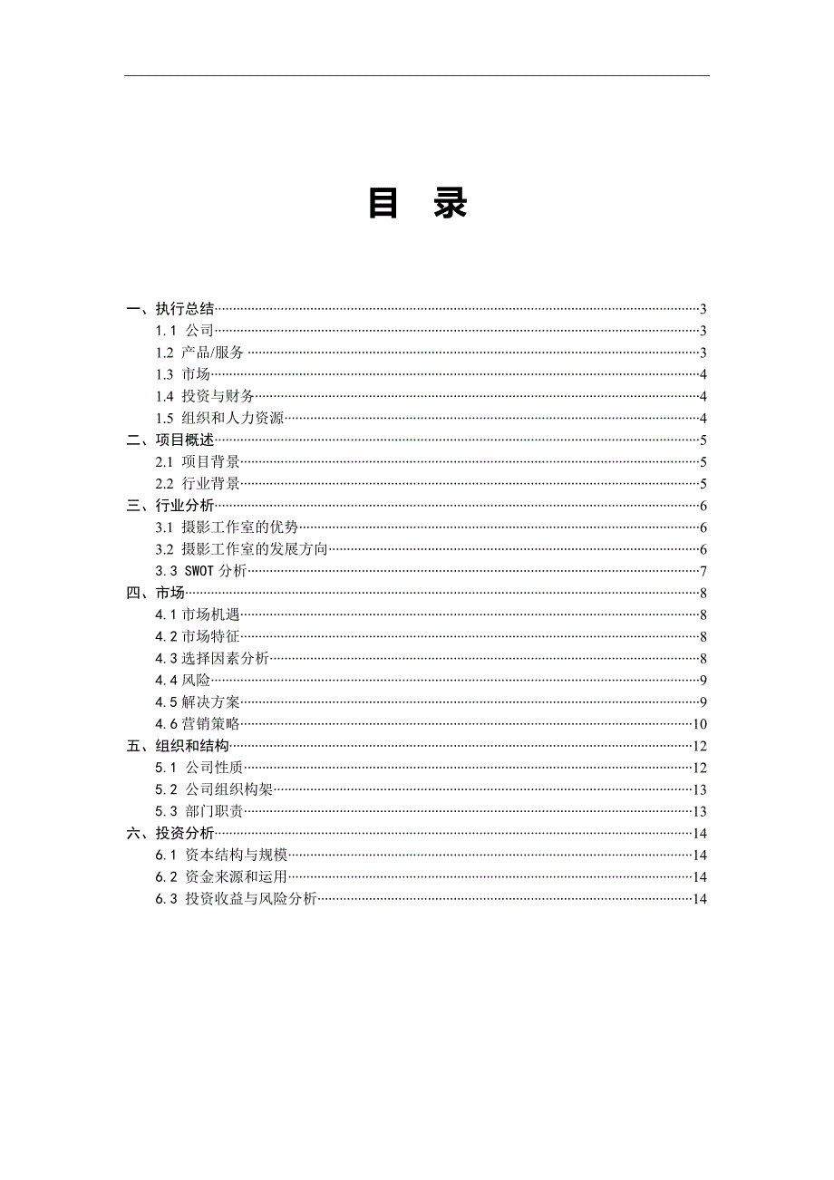 摄影社团创业计划书_第2页