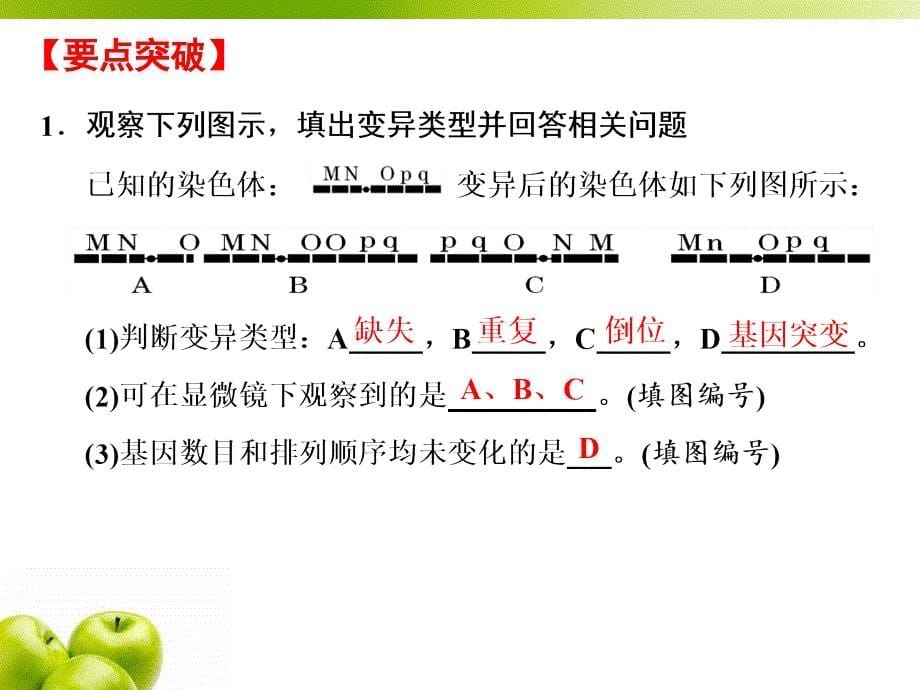 必修2第三单元第2讲 染色体变异1_第5页