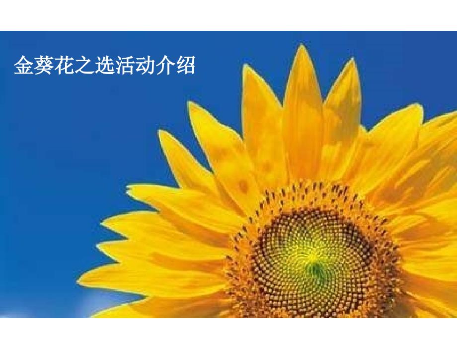 2006年招商银行金葵花之白金卡活动方案_第2页