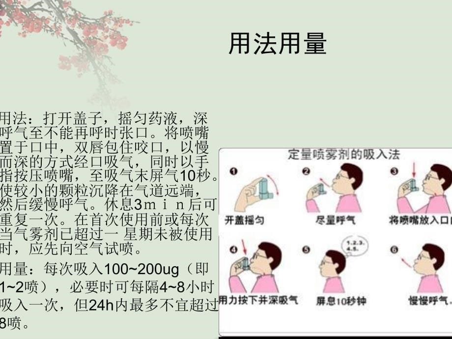 定量雾化吸入器_第5页