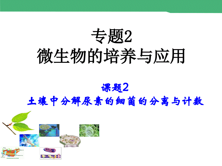 2015-2016学年 2.2《土壤中分解尿素的细菌的分离与计数》课时 1 课件_第1页