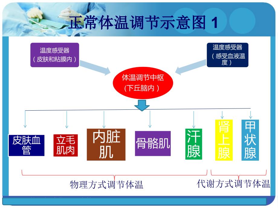 急性发热的诊治_第4页