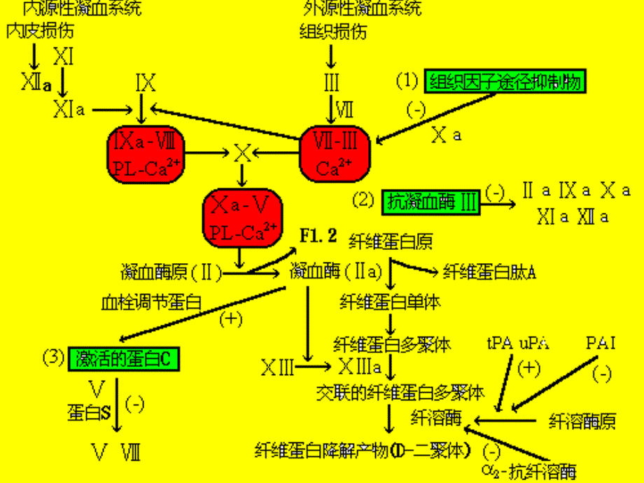 急性冠状动脉综合征的抗凝治疗_第4页