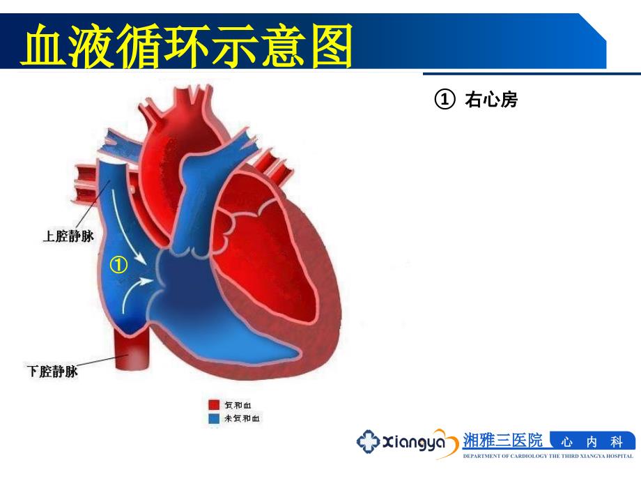 循环系统常见疾病的主要症状和体征_第4页