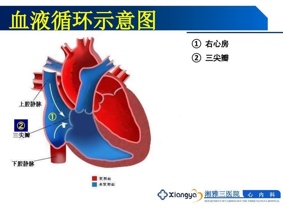 循环系统常见疾病的主要症状和体征_第5页