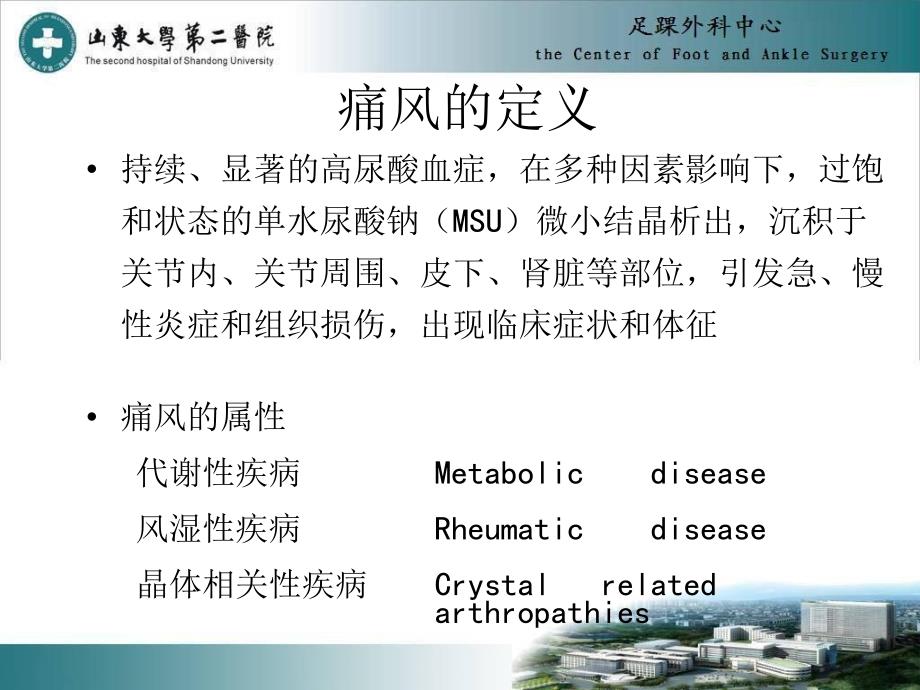 中国痛风诊疗指南_第2页