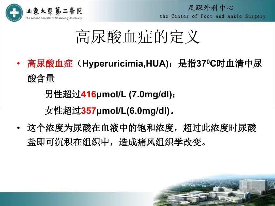 中国痛风诊疗指南_第5页