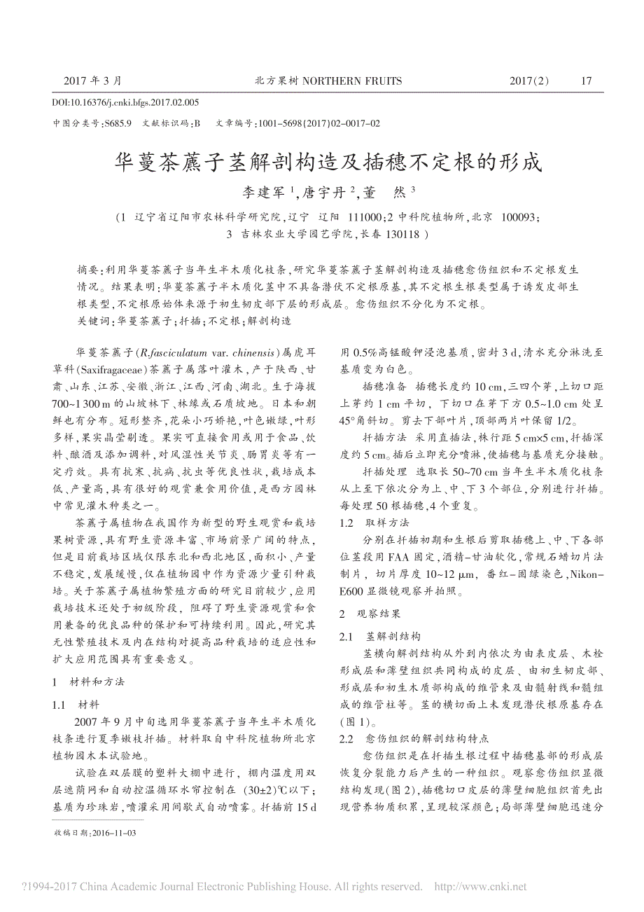 华蔓茶藨子茎解剖构造及插穗不定根的形成_第1页