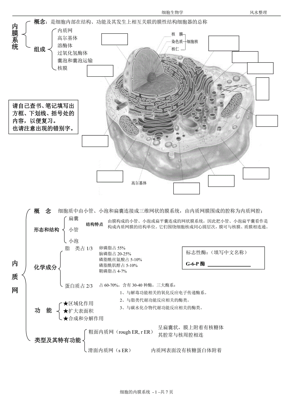 细胞生物学笔记-细胞的内膜系统_第1页