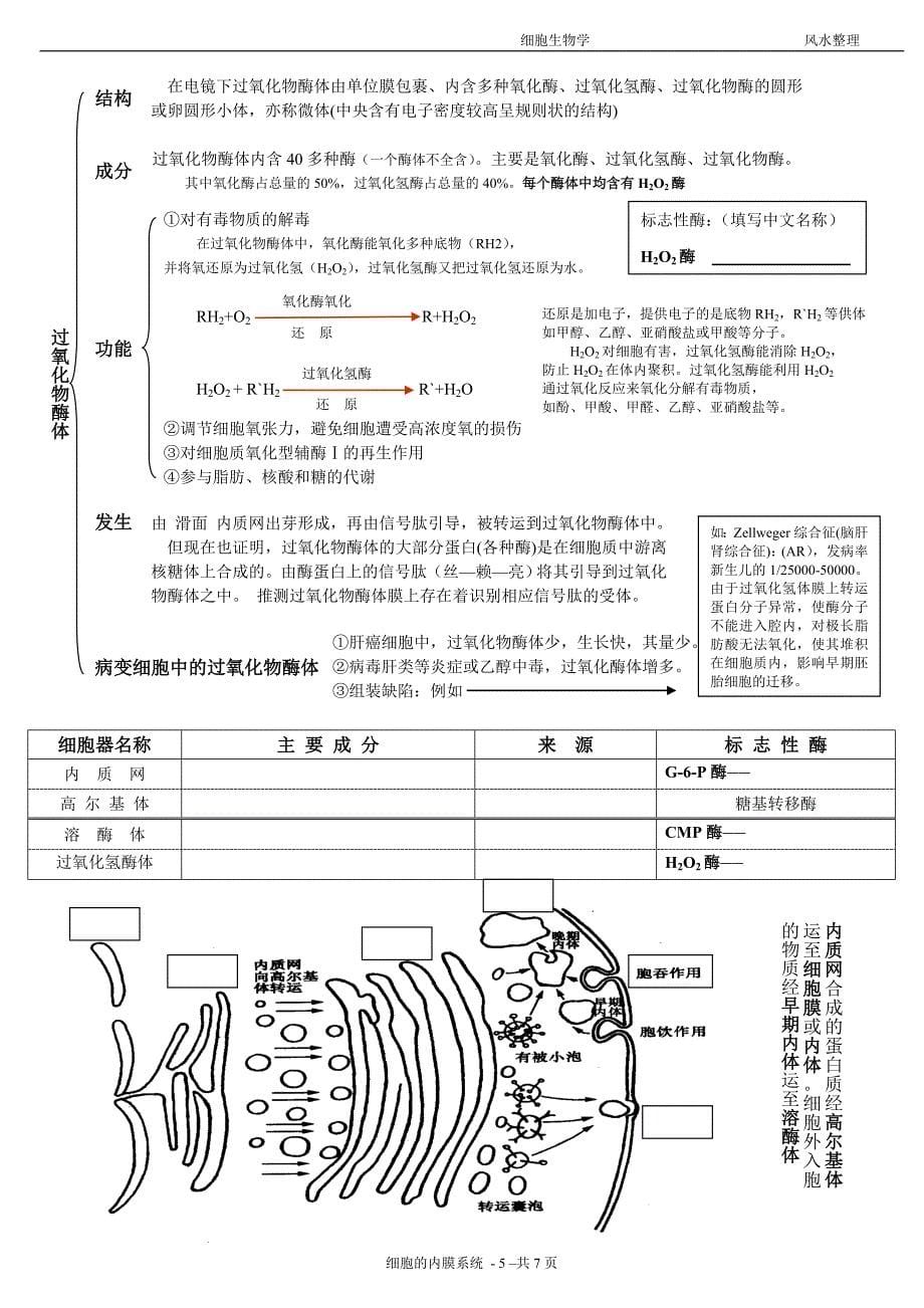 细胞生物学笔记-细胞的内膜系统_第5页