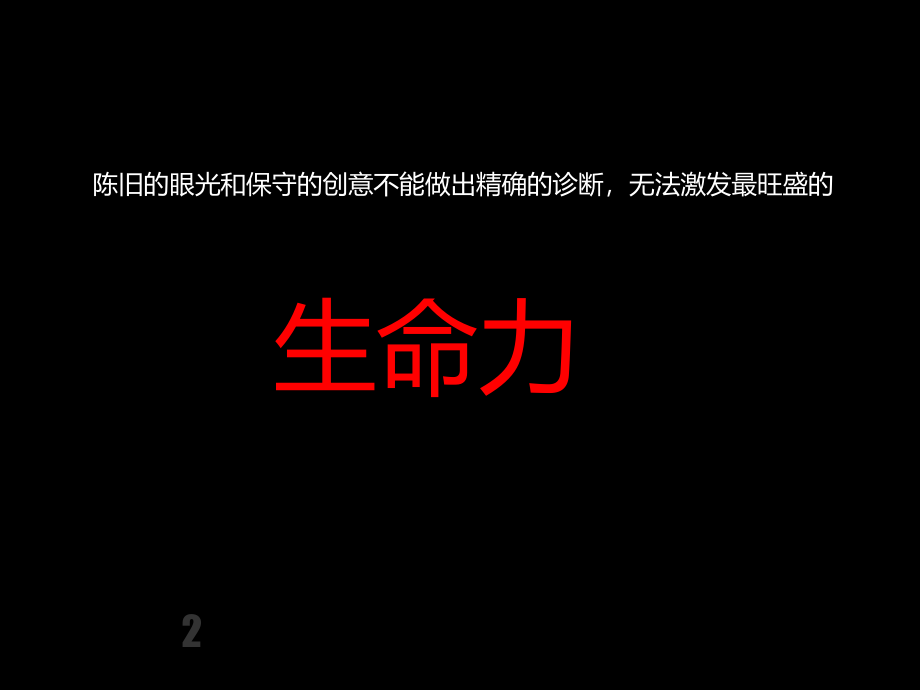 2012年6月成都智华名城整合推广策略方案_第2页