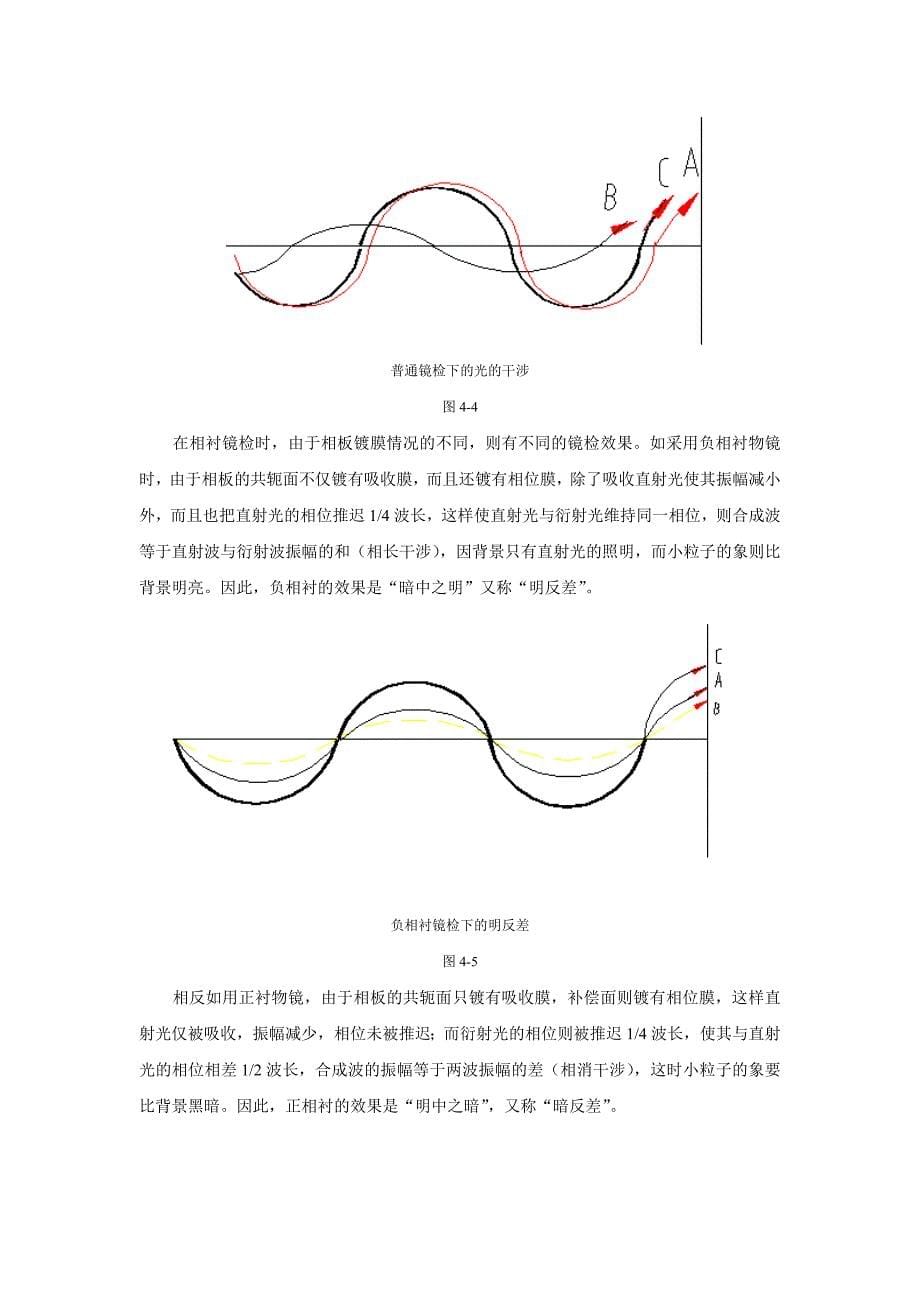 相衬显微镜的基本介绍_第5页