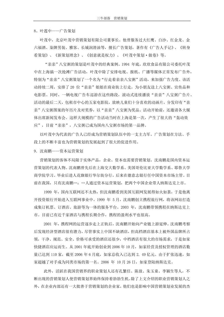 中国营销策划人 策划案_第5页