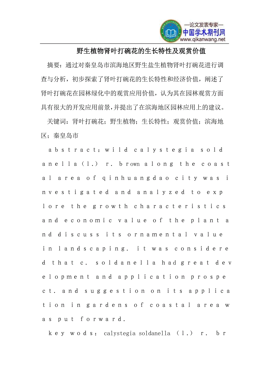 野生植物肾叶打碗花的生长特性及观赏价值_第1页