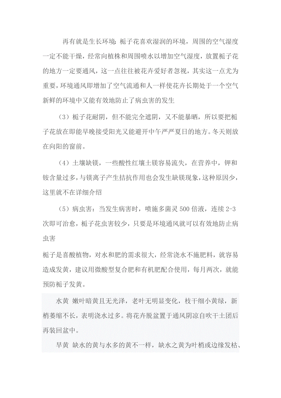 栀子花黄叶的原因及处理方法_第2页