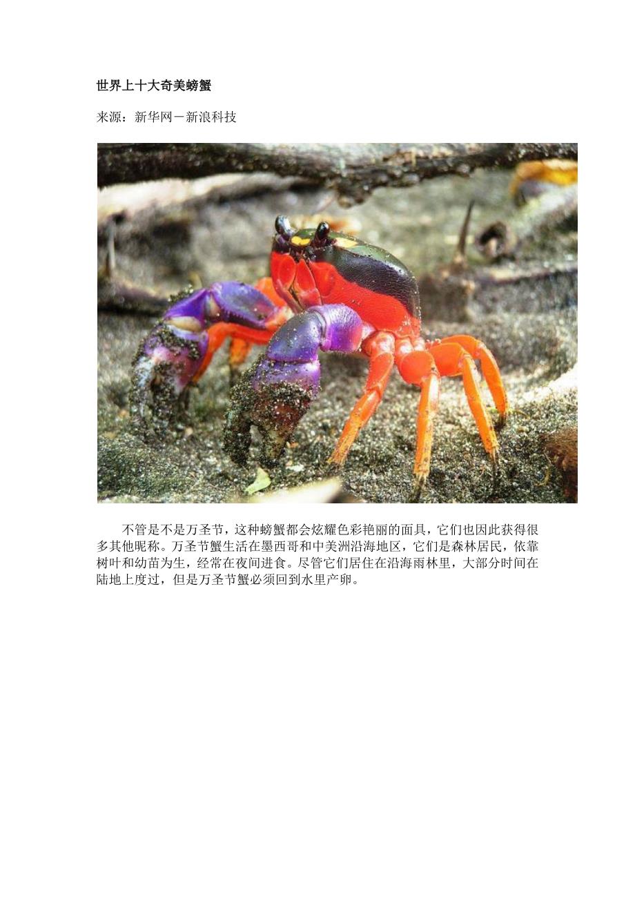 世界上十大奇美螃蟹_第1页