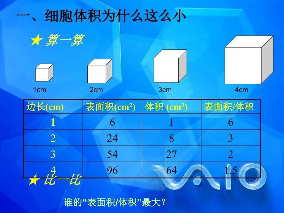 细胞通过分裂产生新细胞_第5页