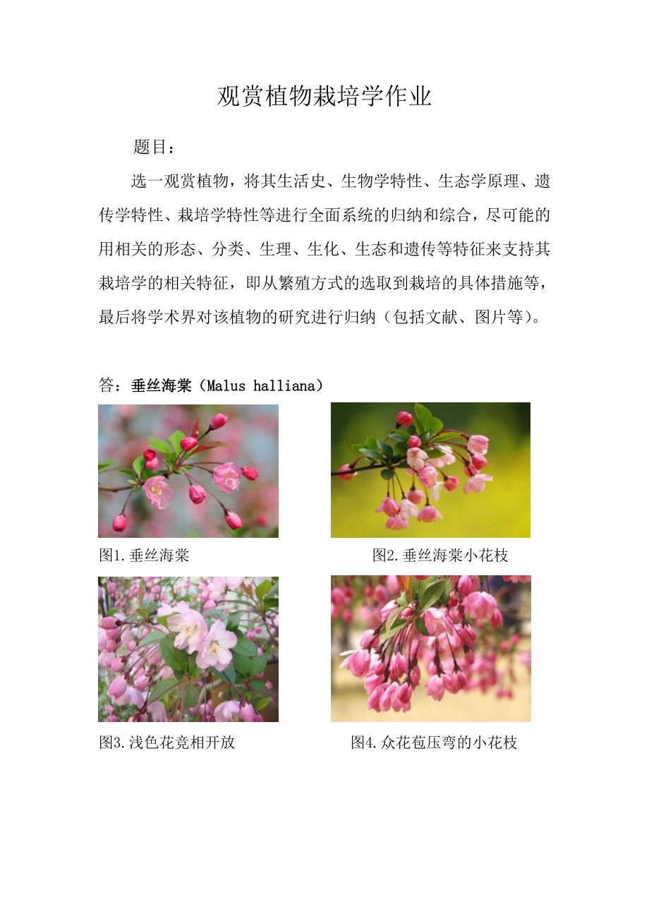 [精编]观赏植物栽培学作业_第1页