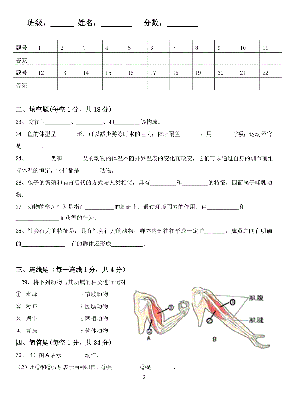 八年级上册生物期中测试题和答案_第3页