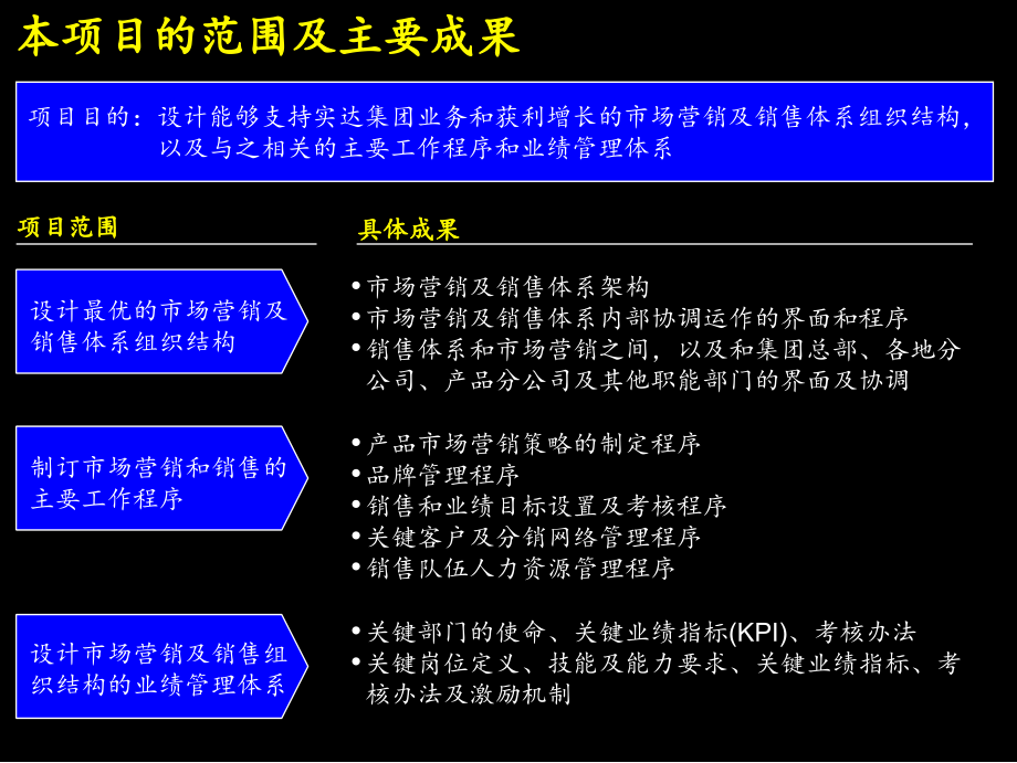 实达集团建立高绩效的市场营销及销售组织体系建议书-麦肯锡_第2页