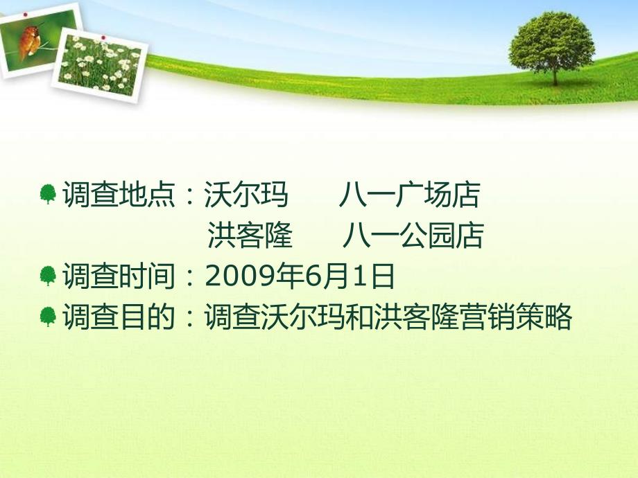 分析比较沃尔玛和洪客隆实体店和网站-某学习小组调研资料_第2页