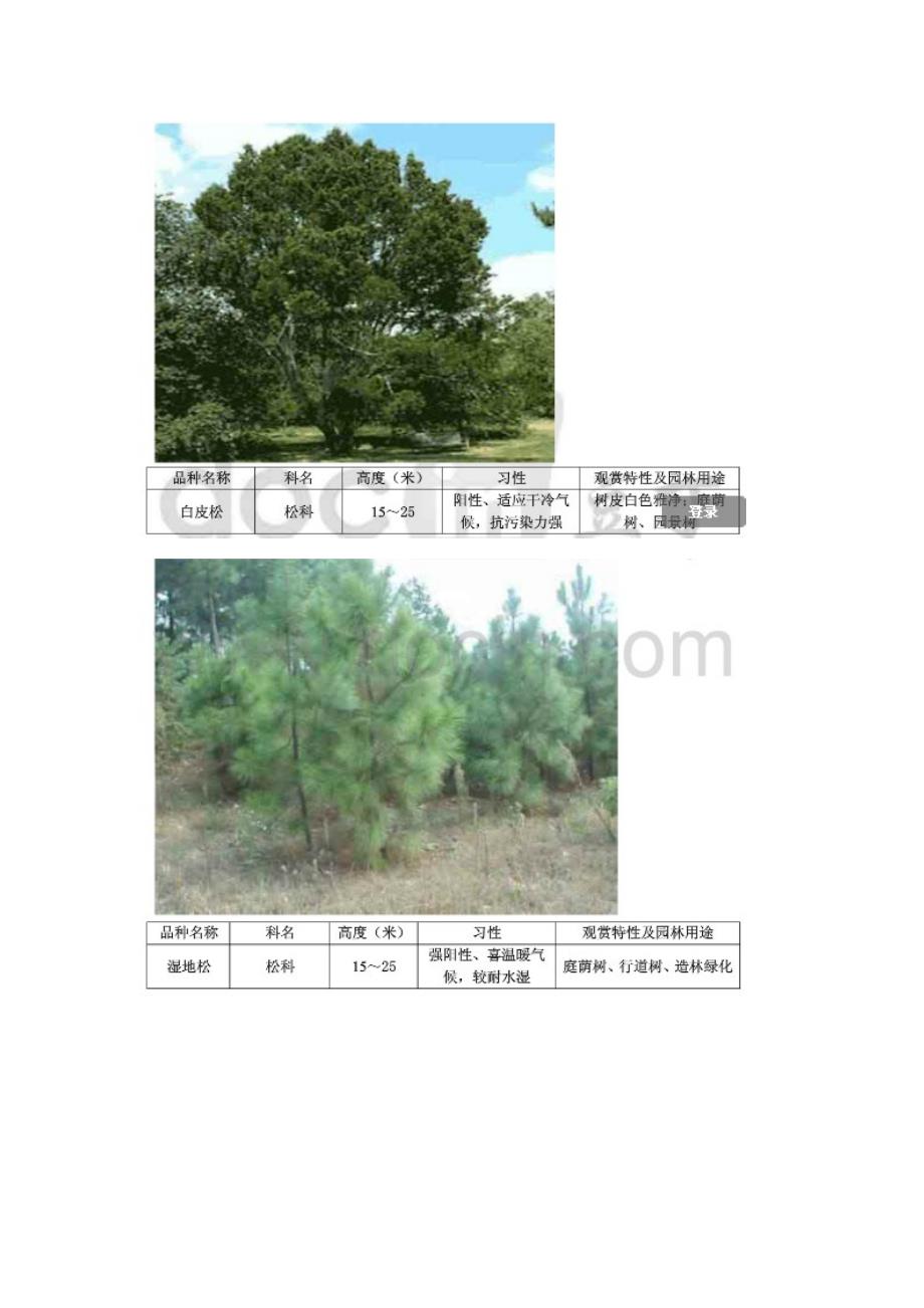 [精编](最新)绿化工程常用苗木品种和特性简介_第2页