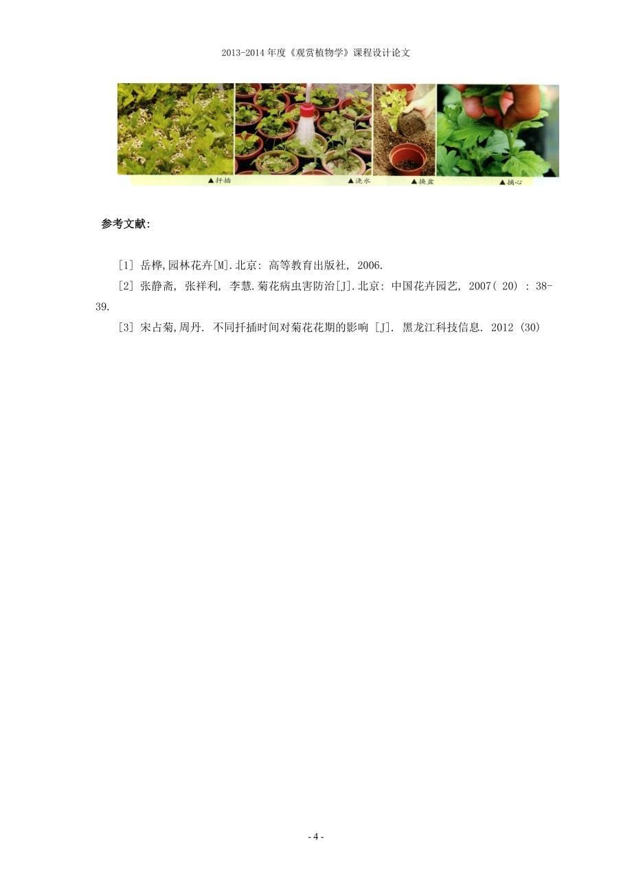 【精选】菊花的栽培与养护_第5页