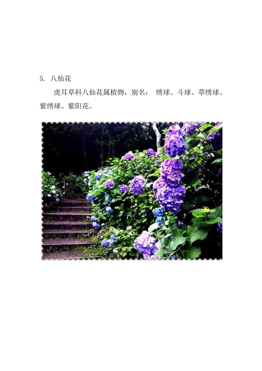 【精选】104种植物常见植物~Koyamalee_第5页