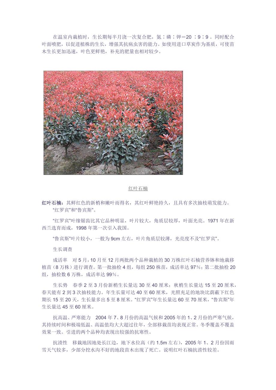 【精选】红叶石楠在园林中的应用_第3页
