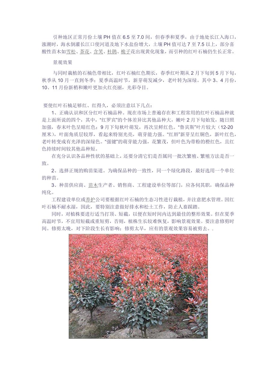 【精选】红叶石楠在园林中的应用_第4页
