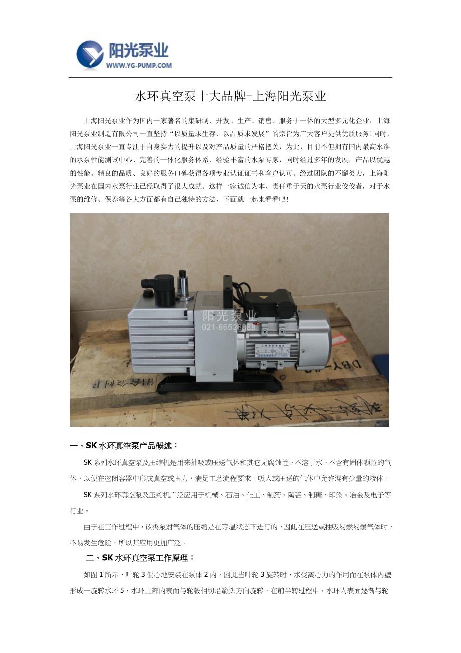 【精选】水环真空泵十大品牌-上海阳光泵业_第1页
