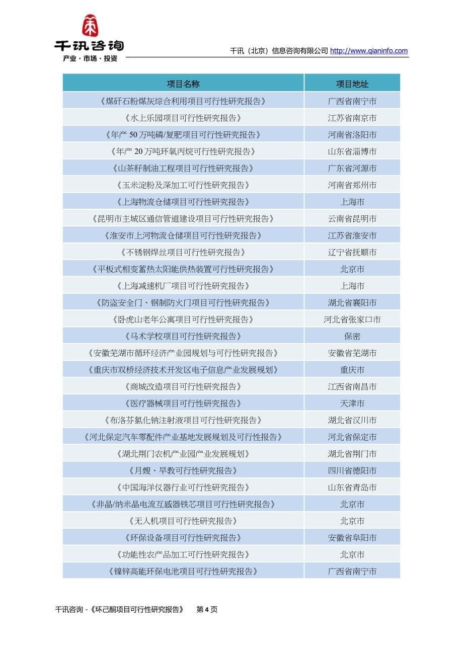 [2017年整理]环己酮项目可行性研究报告_第5页