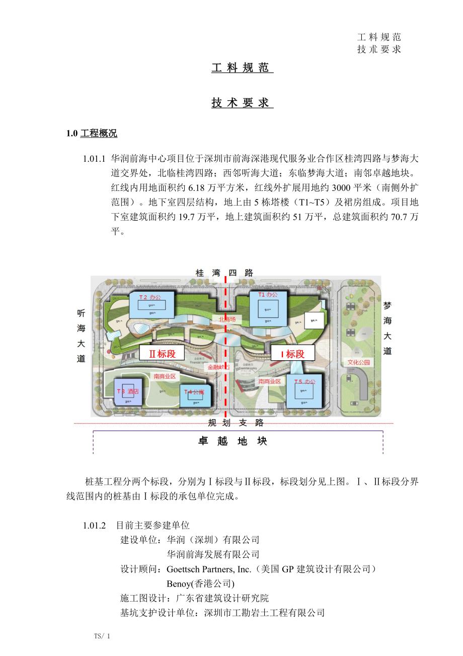 【精选】项目桩基础工程-技术要求_第1页