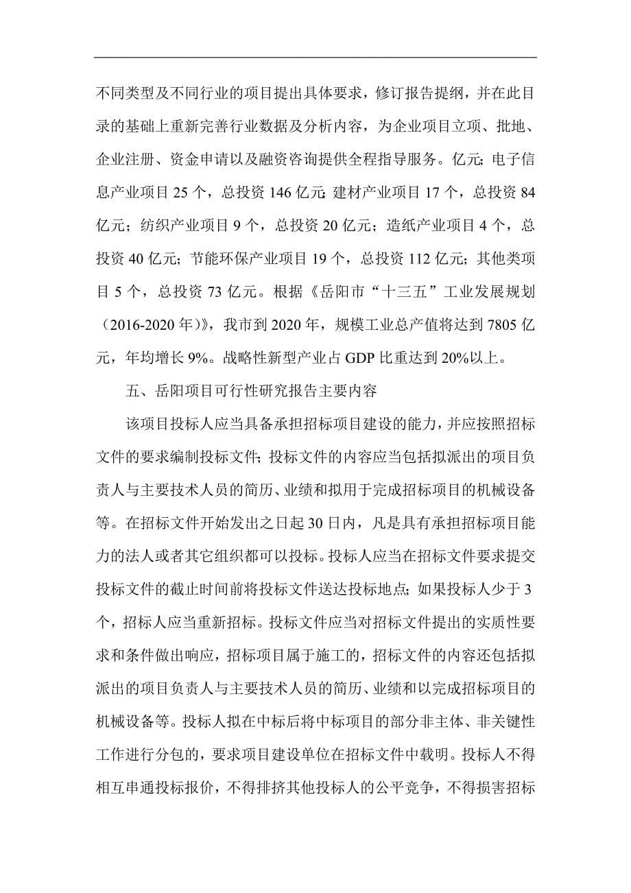 岳阳项目报告书可行性研究报告策划报告_第5页