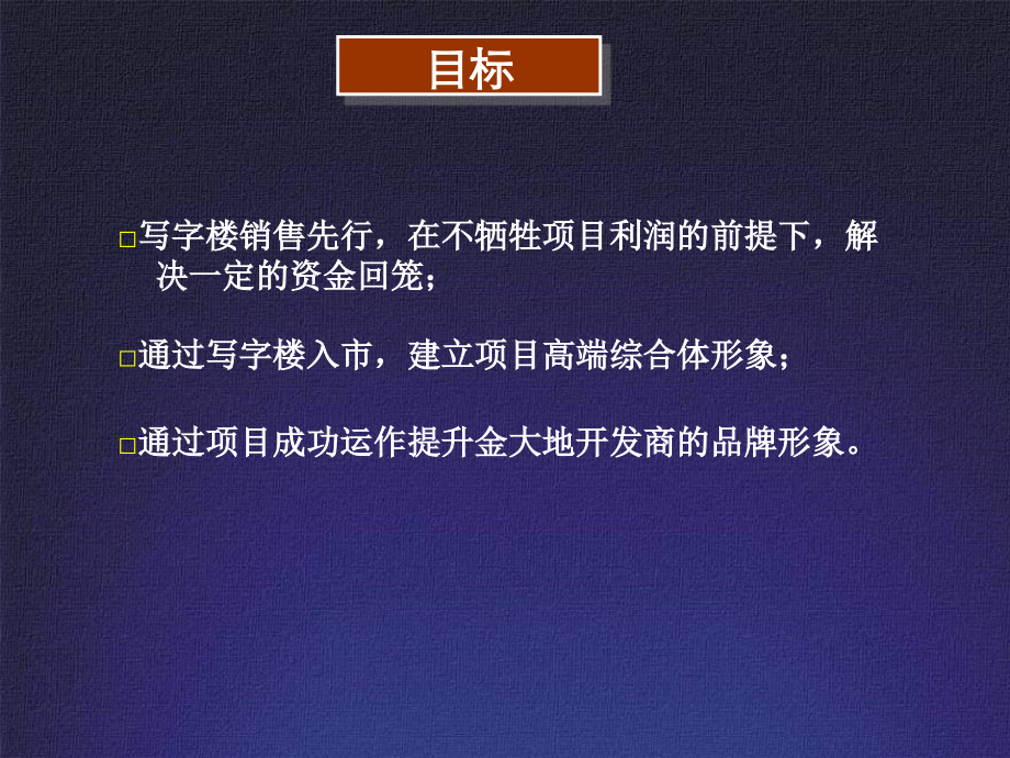 2011年合肥金大地·新地中心营销总纲_第4页