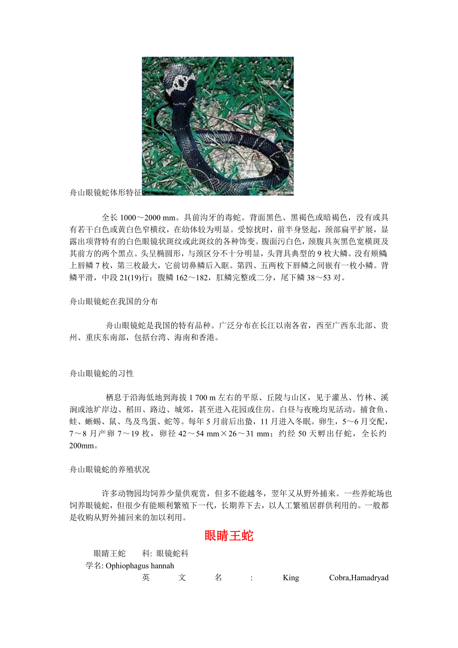 [2017年整理]本文介绍几种毒蛇体形特征_第3页