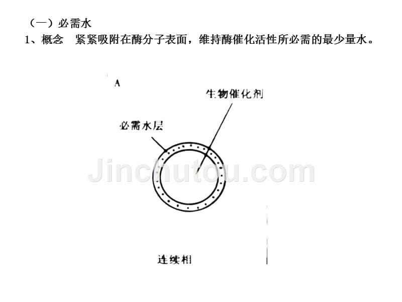 有机介质中的酶反应幻灯片_第5页